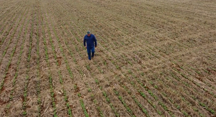 Brazil-Soybean-Expedition-closely-follows-soybean-planting.png