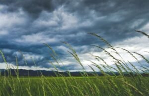 Cold-front-reaches-the-Southeast-and-leaves-heavy-rains-in.jpg