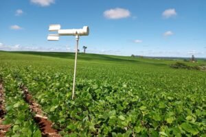 Soybean-planting-in-Parana-exceeds-90-of-the-cultivation-area.jpg